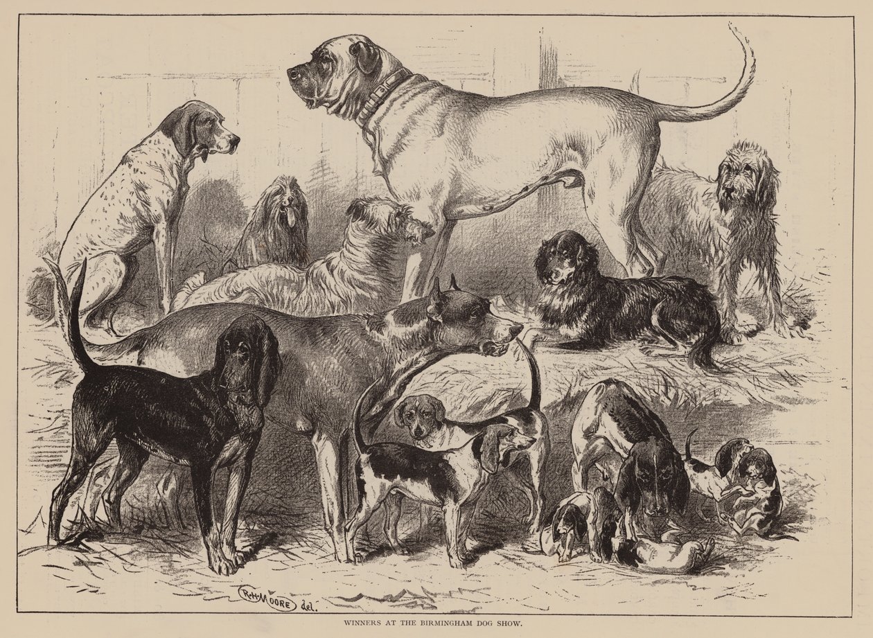 伯明翰犬展获奖者（雕刻） 作者 英语学校