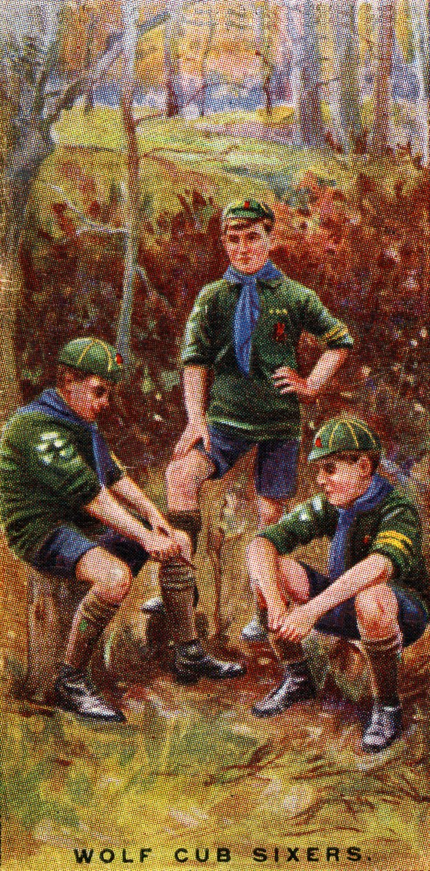 Wolf Cub 76ers，1929年 作者 英语学校