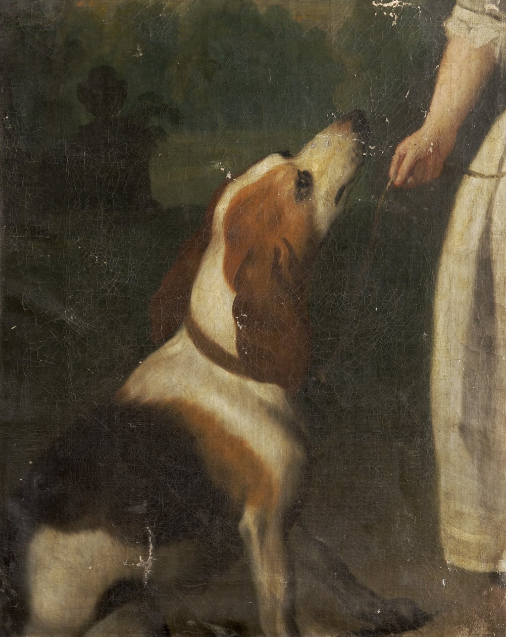 一只猎犬 作者 英语学校英语学校