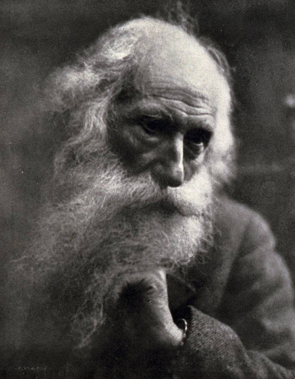 Close-up of the famous sculptor Vincenzo Gemito. The elderly artist is caressing his thick white beard (b/w photo) 作者 埃斯科·马萨利亚（Ercole Massaglia）
