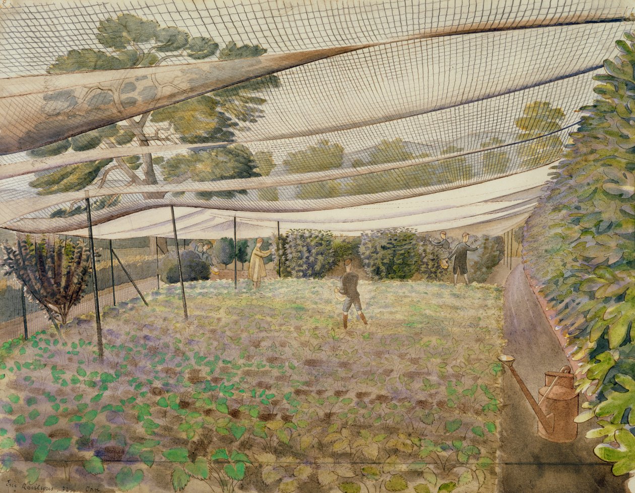 草莓网 作者 埃里克·拉维鲁（Eric Ravilious）