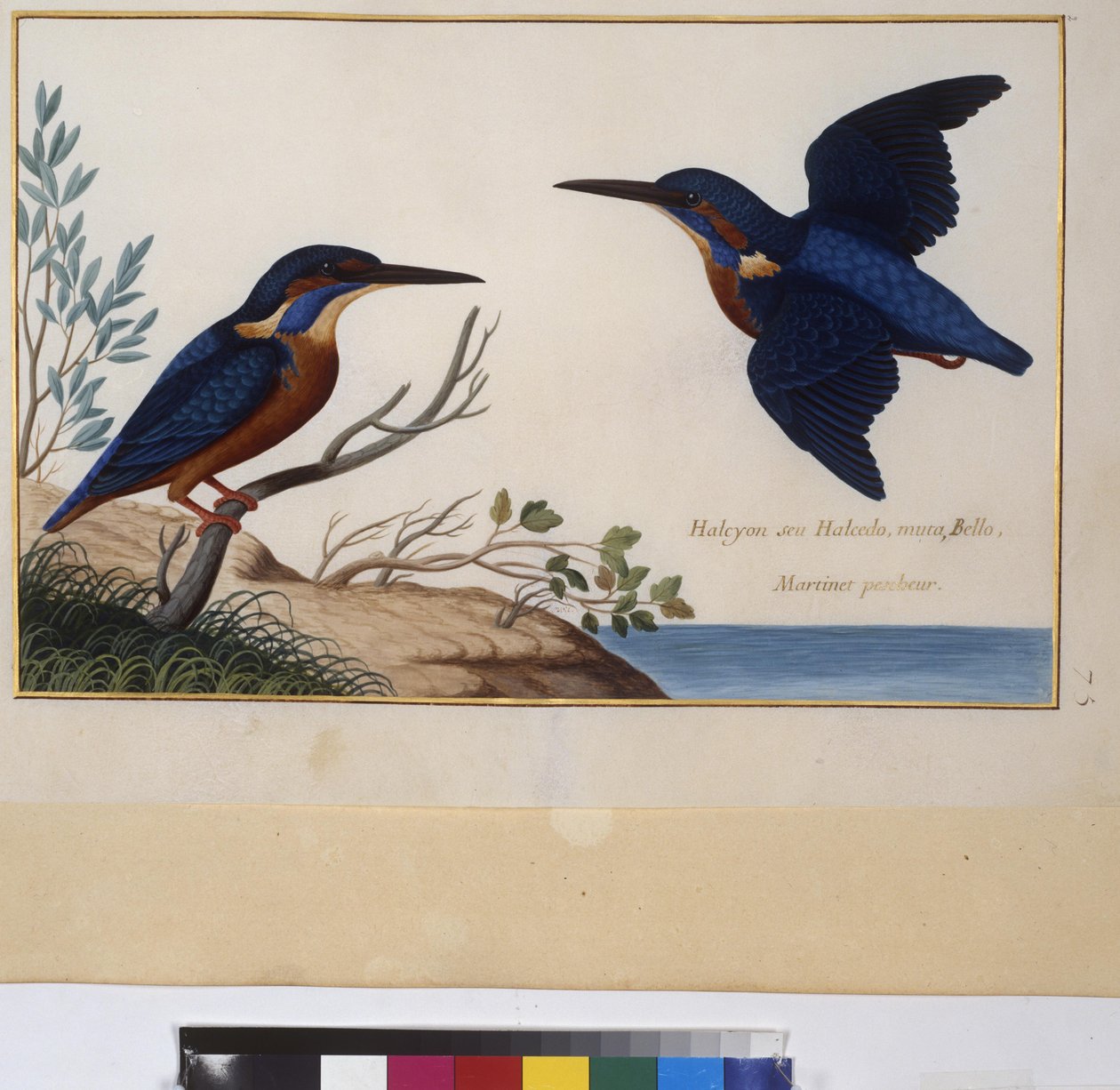  作者 埃里希·莱辛