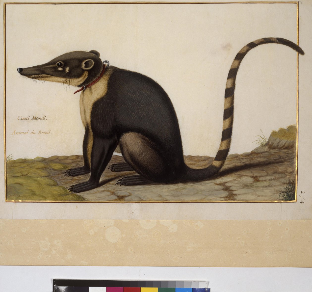  作者 埃里希·莱辛