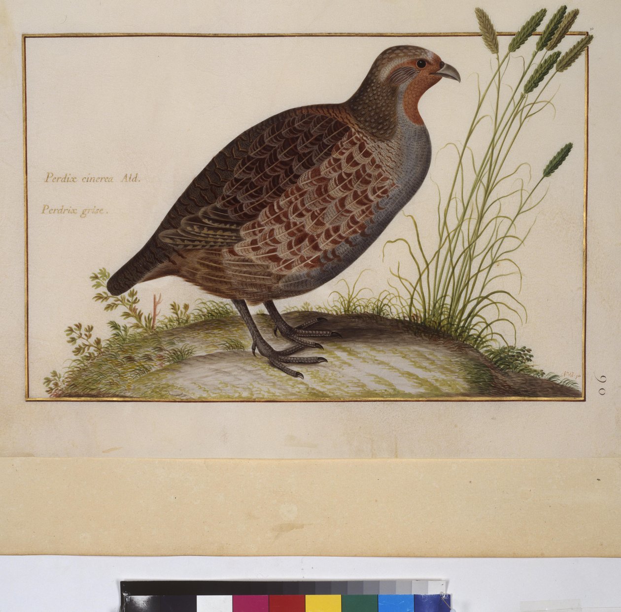  作者 埃里希·莱辛