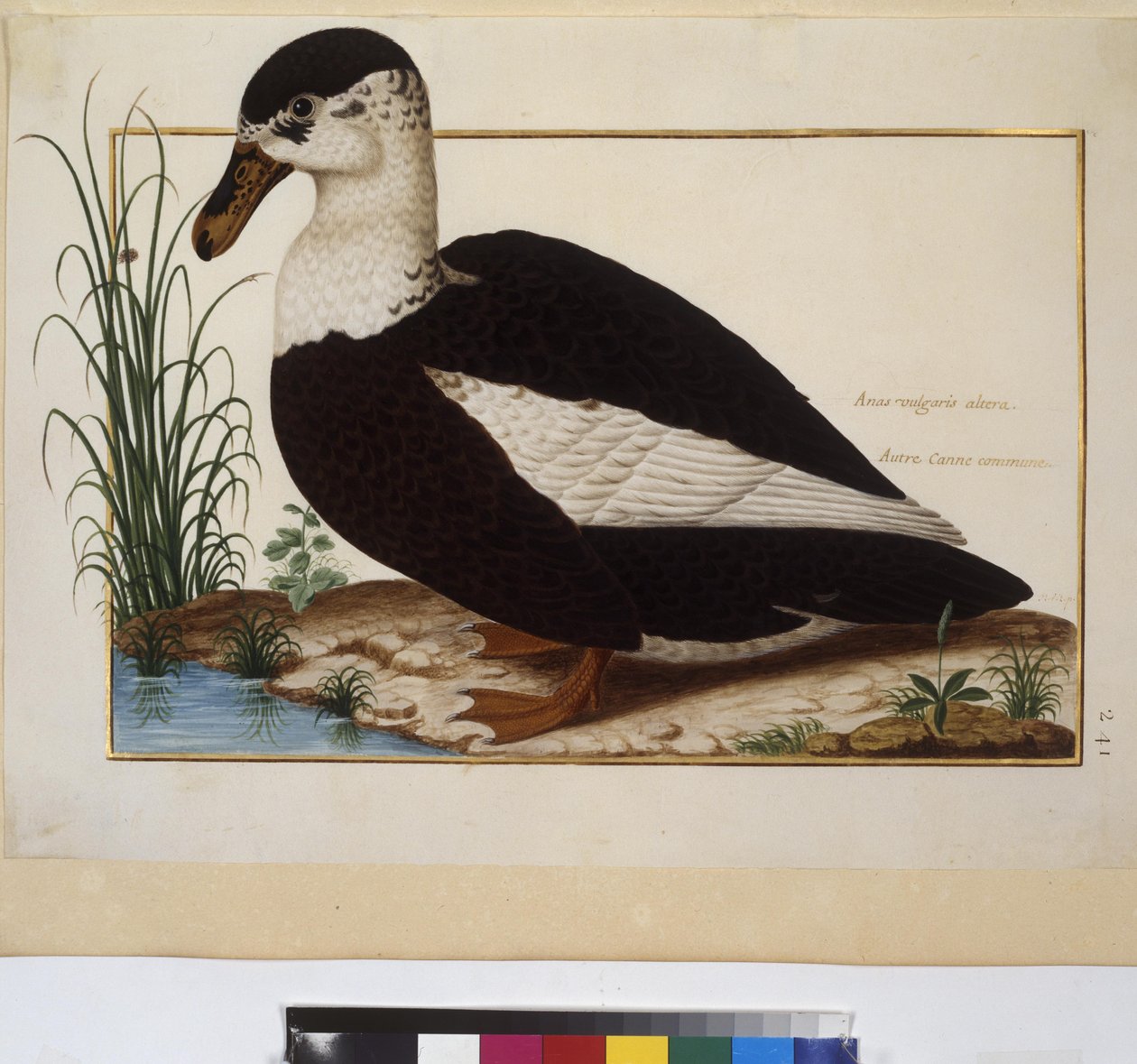  作者 埃里希·莱辛