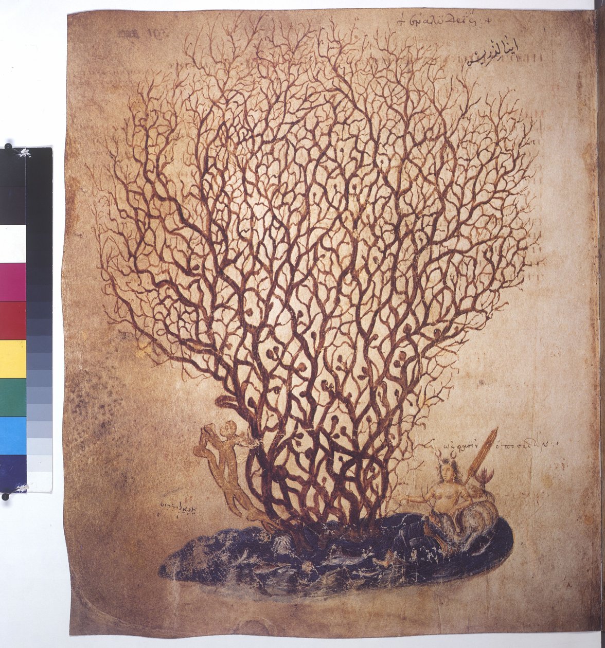  作者 埃里希·莱辛