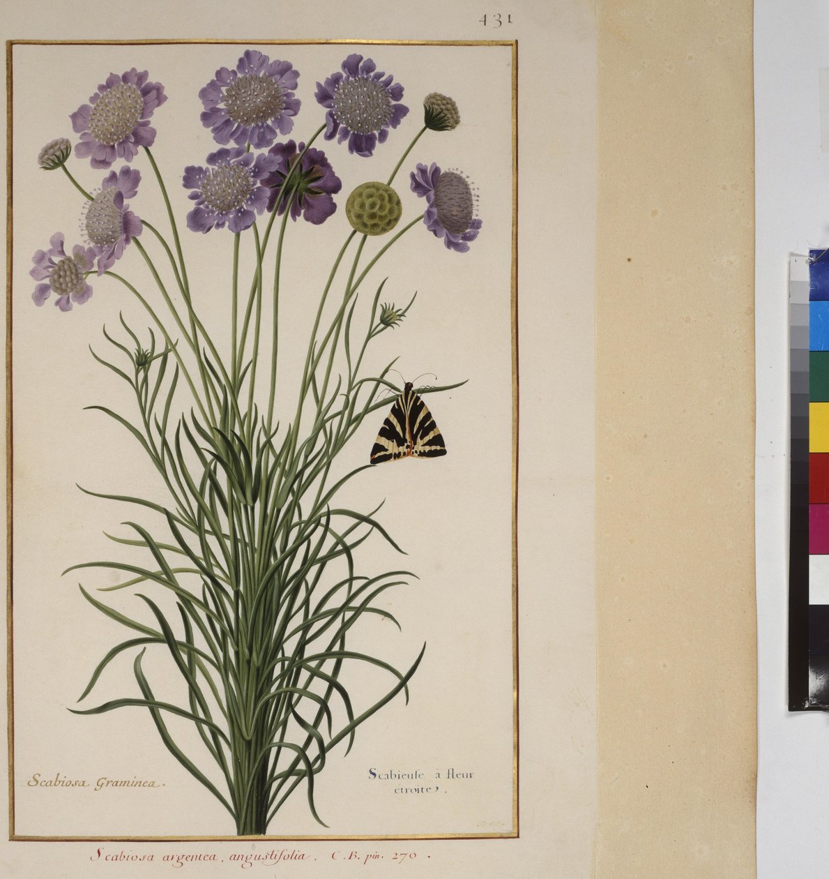  作者 埃里希·莱辛