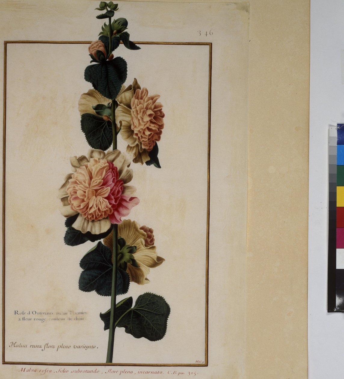  作者 埃里希·莱辛