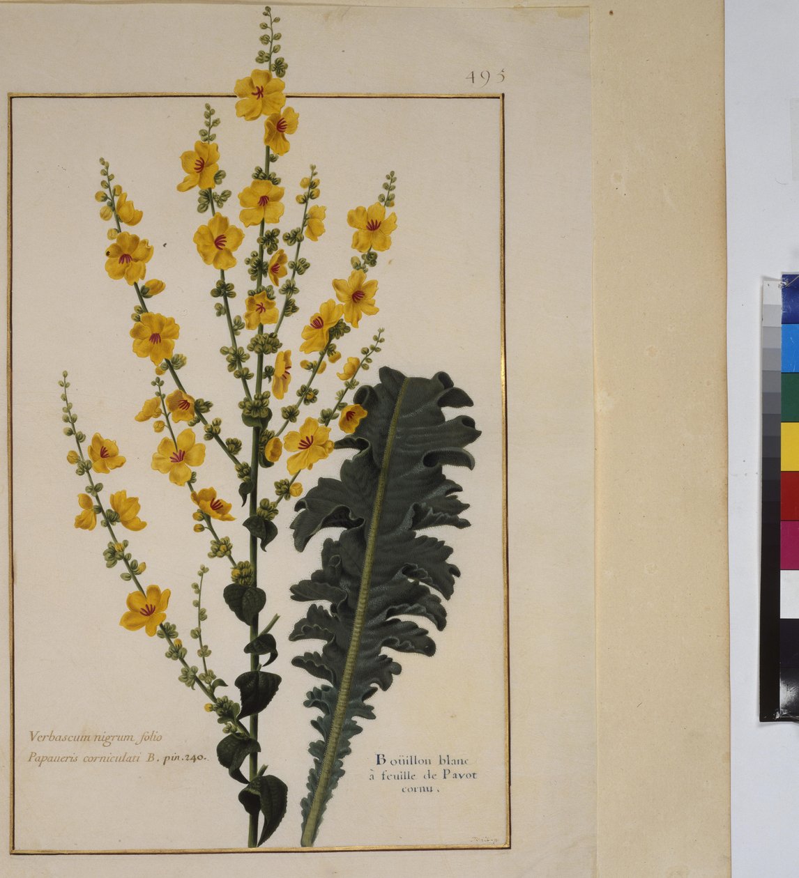  作者 埃里希·莱辛