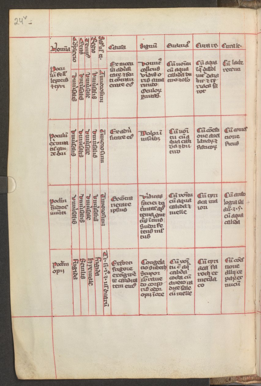  作者 埃里希·莱辛