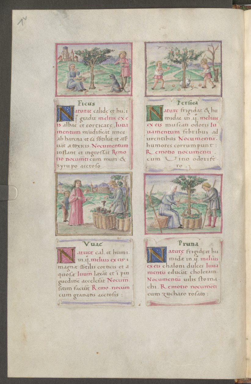  作者 埃里希·莱辛