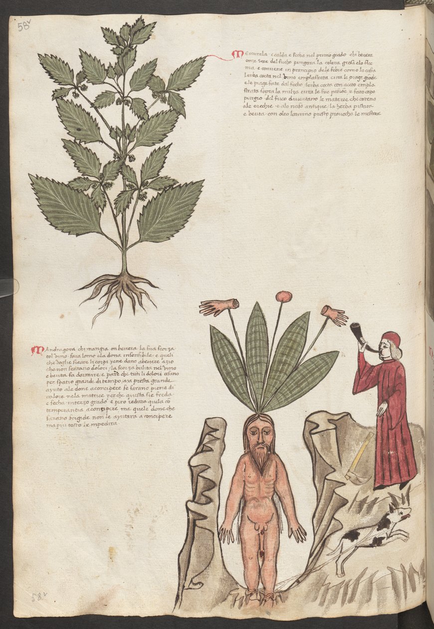  作者 埃里希·莱辛