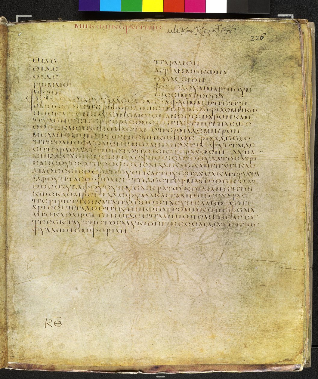  作者 埃里希·莱辛