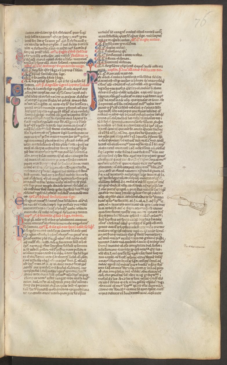  作者 埃里希·莱辛