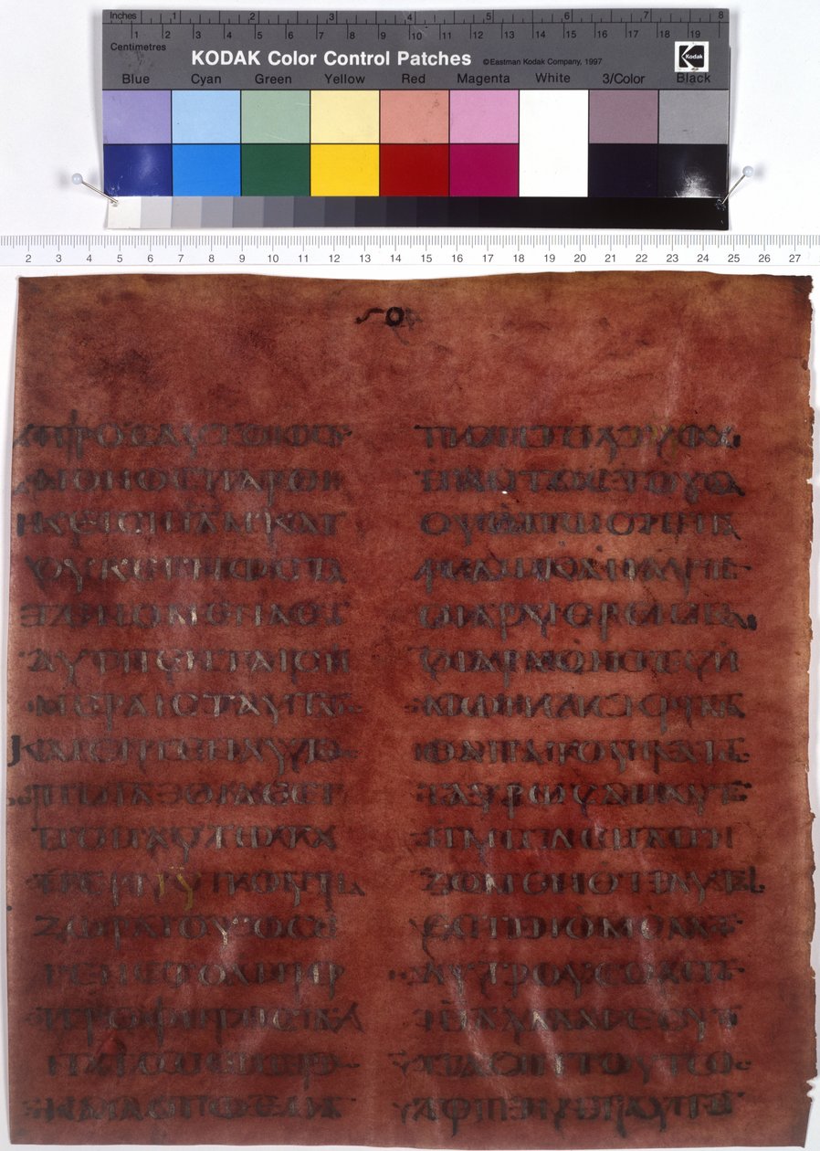  作者 埃里希·莱辛