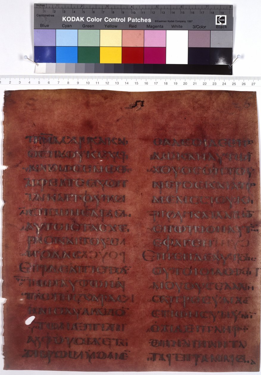  作者 埃里希·莱辛