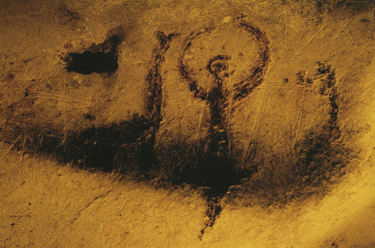  作者 埃里希·莱辛