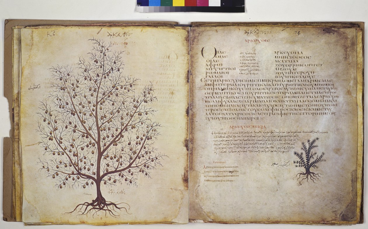  作者 埃里希·莱辛