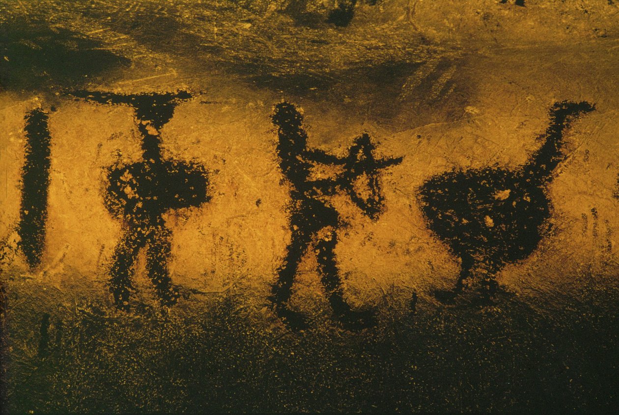  作者 埃里希·莱辛