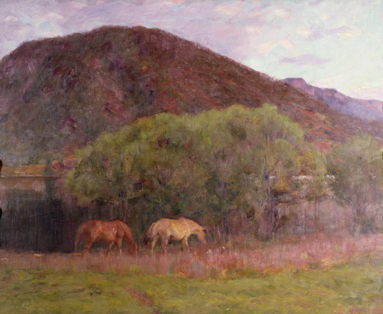 夏季傍晚在Kviteseid，1893年 作者 埃里克·西奥多·韦伦斯基尔德