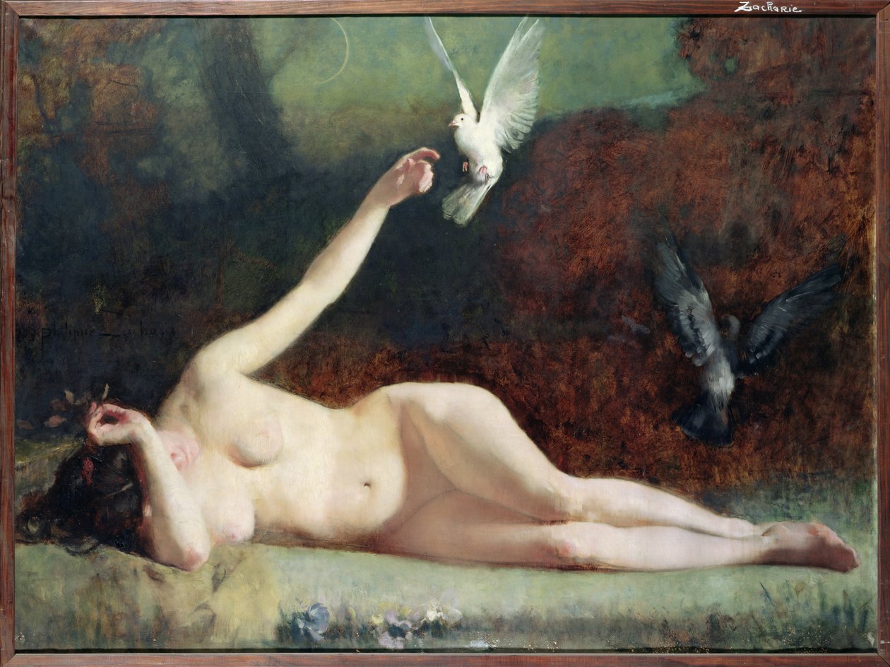 鸽子的女人，c.1883 作者 恩斯特·菲利普·扎查里