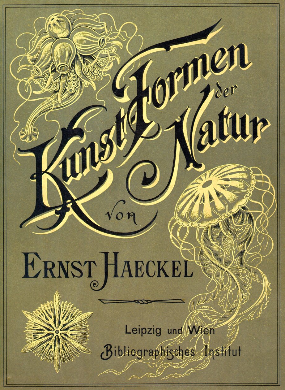 恩斯特-海克尔（Ernst Heackel）创作的《自然的艺术形式》封面 作者 恩斯特（后）海克尔