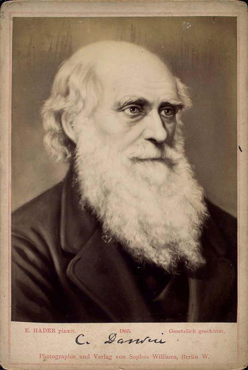 英国自然学家查尔斯·达尔文（Charles Darwin），c1860s-c1870s 作者 恩斯特·哈德（Ernst Hader）