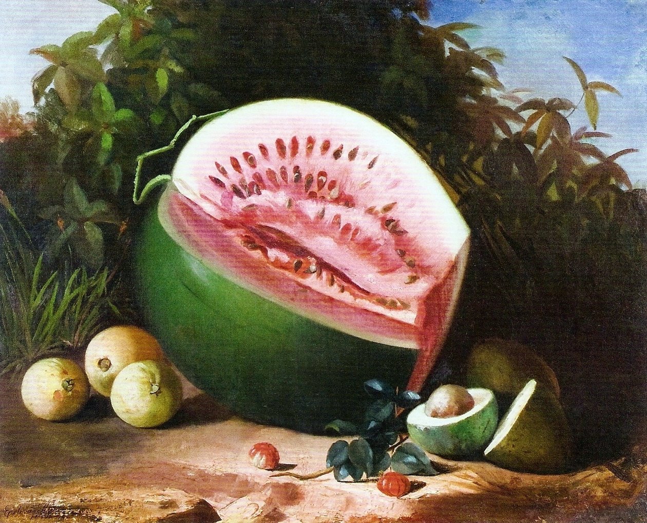 静物 作者 EstevãoSilva