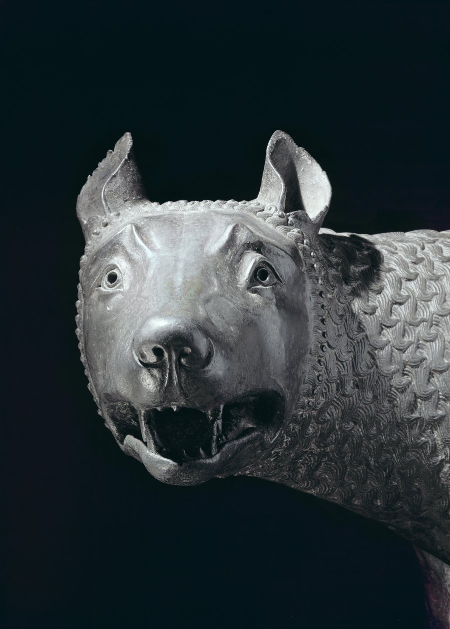 Capitoline She-Wolf（青铜）（细节） 作者 伊特鲁里亚语