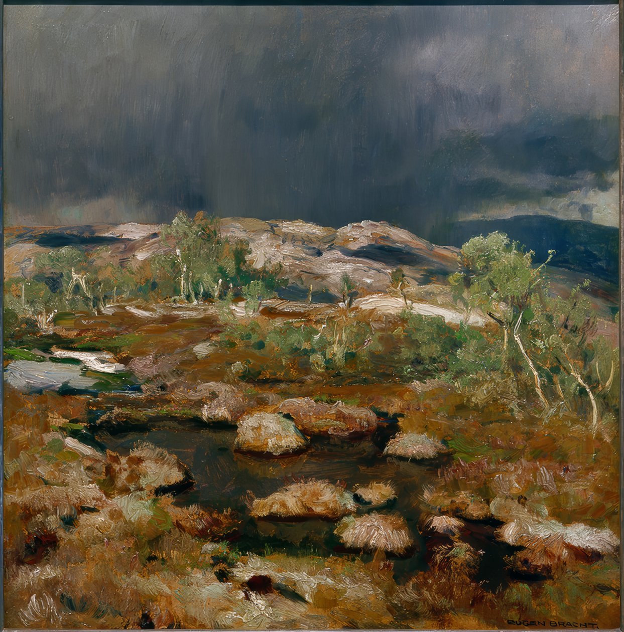 挪威高沼泽地的阵雨 作者 Eugen Felix Prosper Bracht