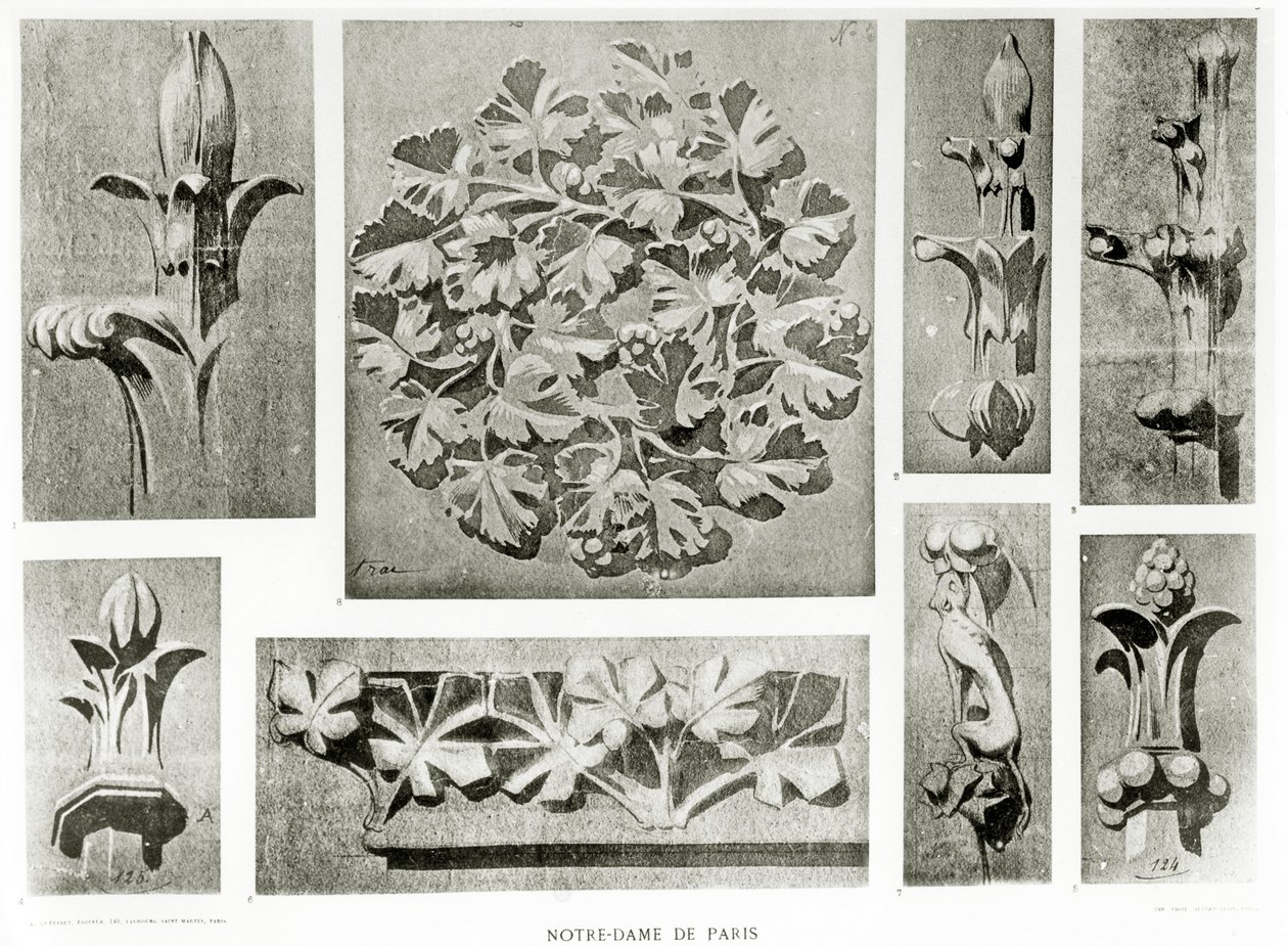 修复圣母院的建筑细节 作者 Eugene Emmanuel Viollet le Duc