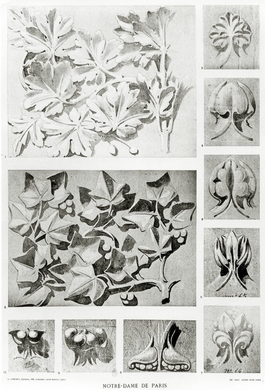 修复圣母院的建筑细节 作者 Eugene Emmanuel Viollet le Duc