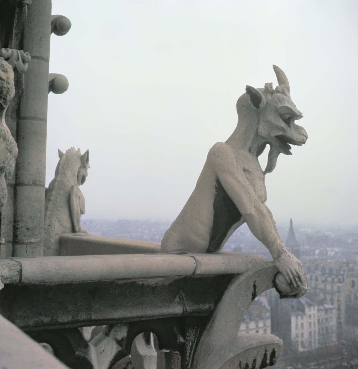 Gargoyle来自Grande Galerie的栏杆，是12世纪原版的复制品 作者 Eugene Emmanuel Viollet le Duc