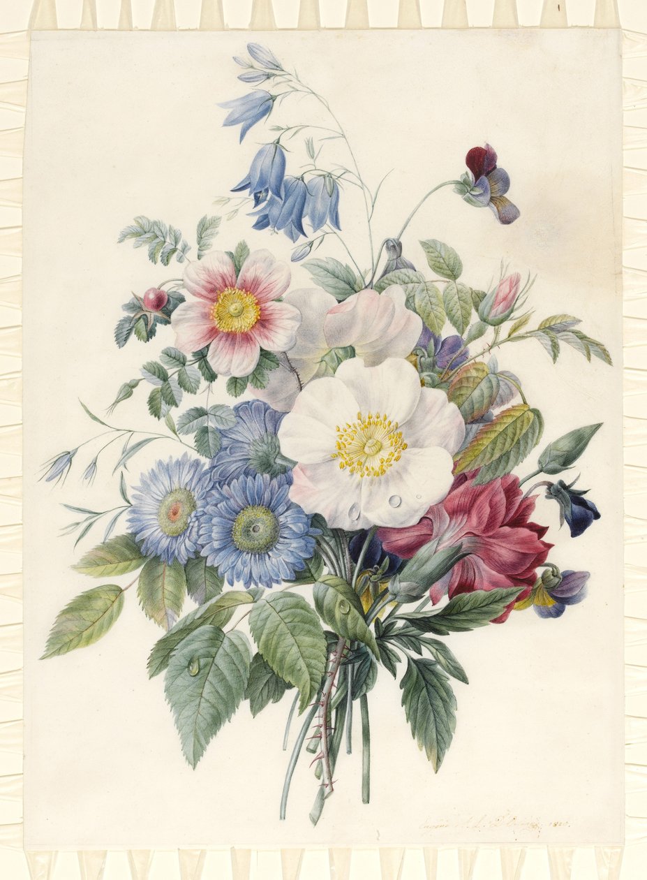蓝色紫菀，罗莎Spinosissima杂种，蓝铃花，中提琴，Cartnation和野玫瑰，1820年（wc和羊皮上的石墨轮廓上的体色） 作者 尤金·阿尔·奥尔良