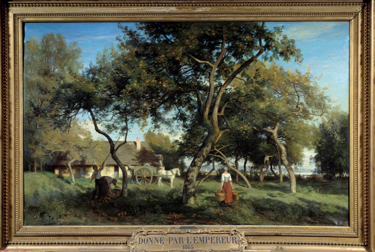 1865 年在诺曼底采摘苹果。 Eugene Lavieille 的绘画（1820-1889） 作者 尤金·安东尼·塞缪尔·拉维耶