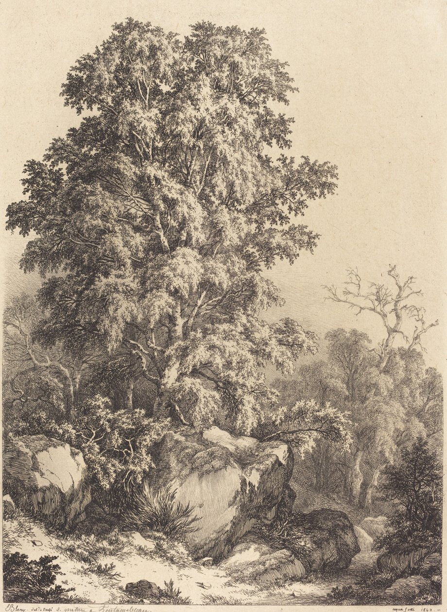 榉树林，1840年。 作者 尤金·布莱