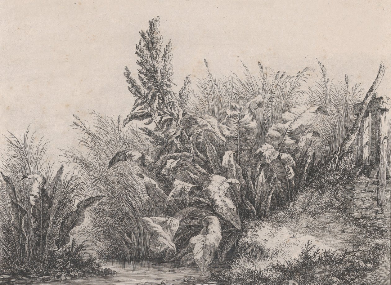 大水码头工厂，1840年。 作者 尤金·布莱