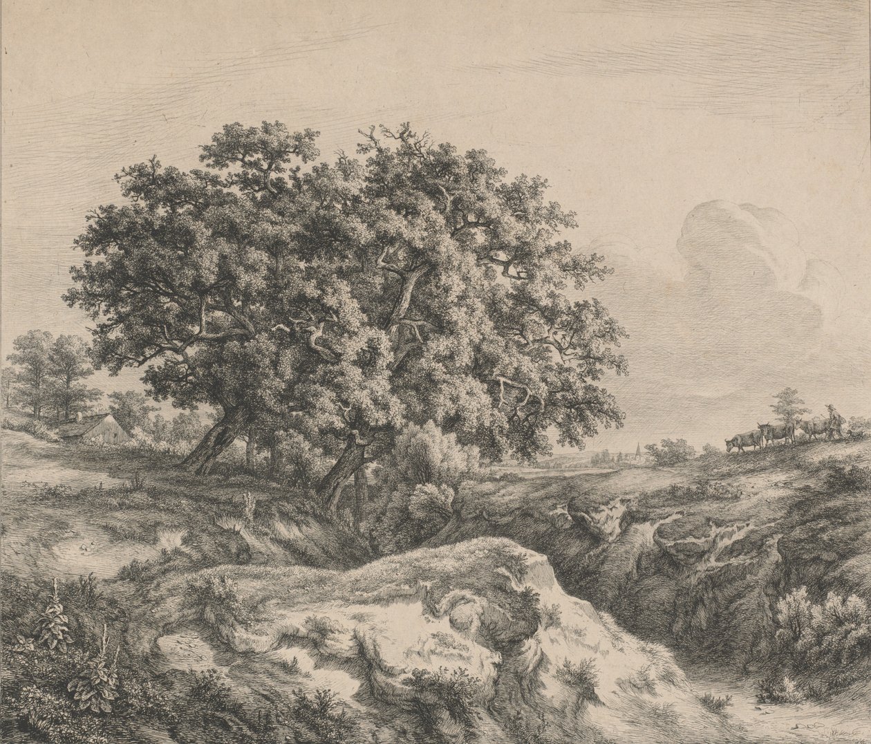 Le chêne au ravin 沟渠边的橡树，1845年。 作者 尤金·布莱