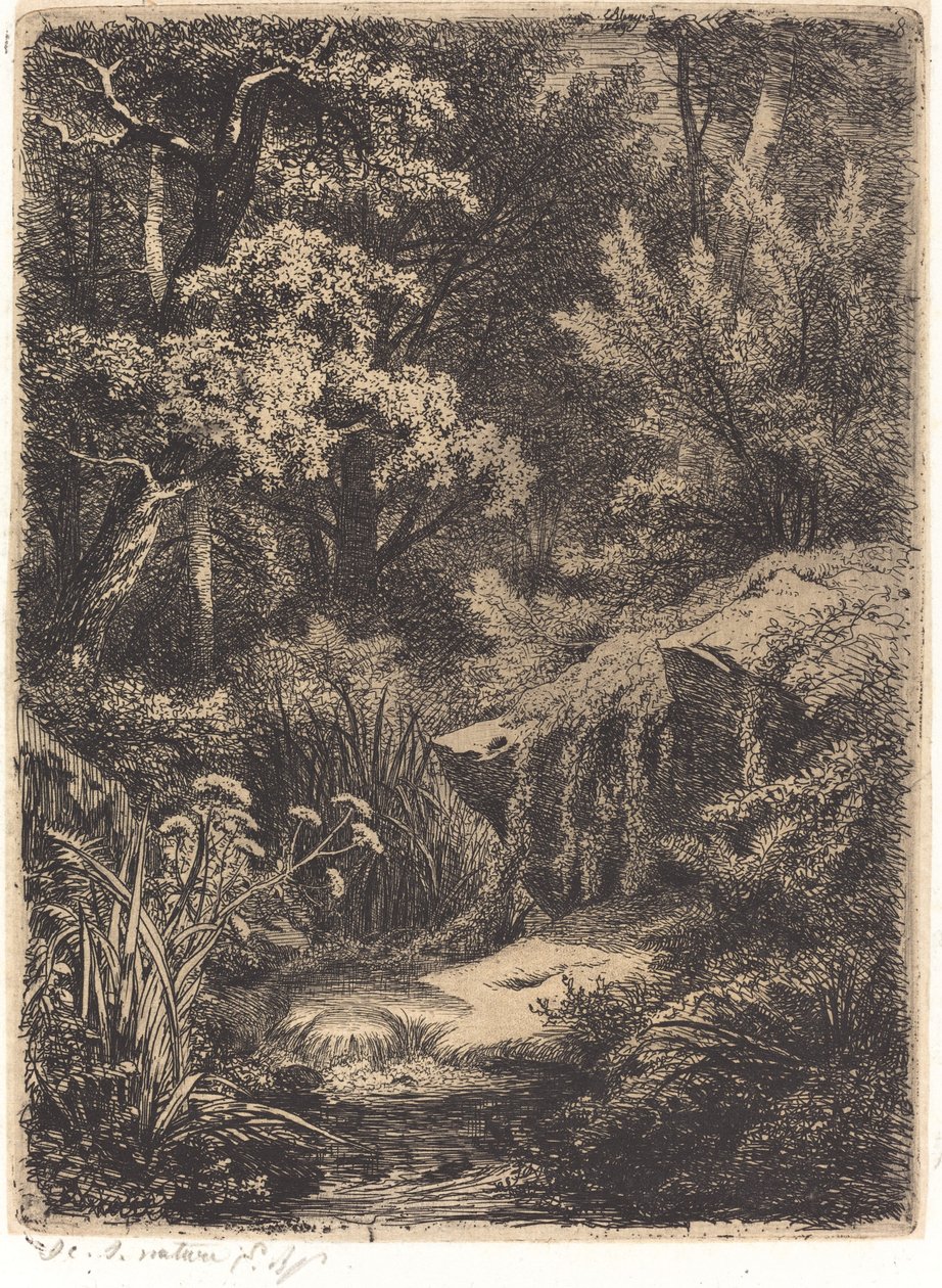 Le petit ruisseau 《小溪》，1849年出版。 作者 尤金·布莱