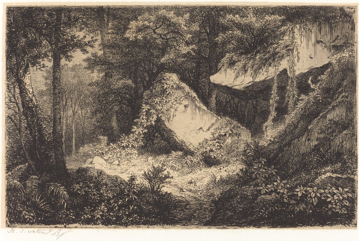Les roches blanches White Rocks，1849年出版。 作者 尤金·布莱