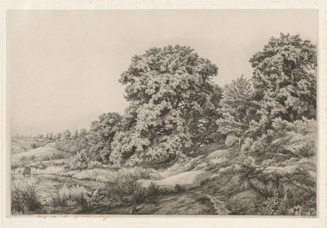 池塘边的橡树，1852年。 作者 尤金·布莱