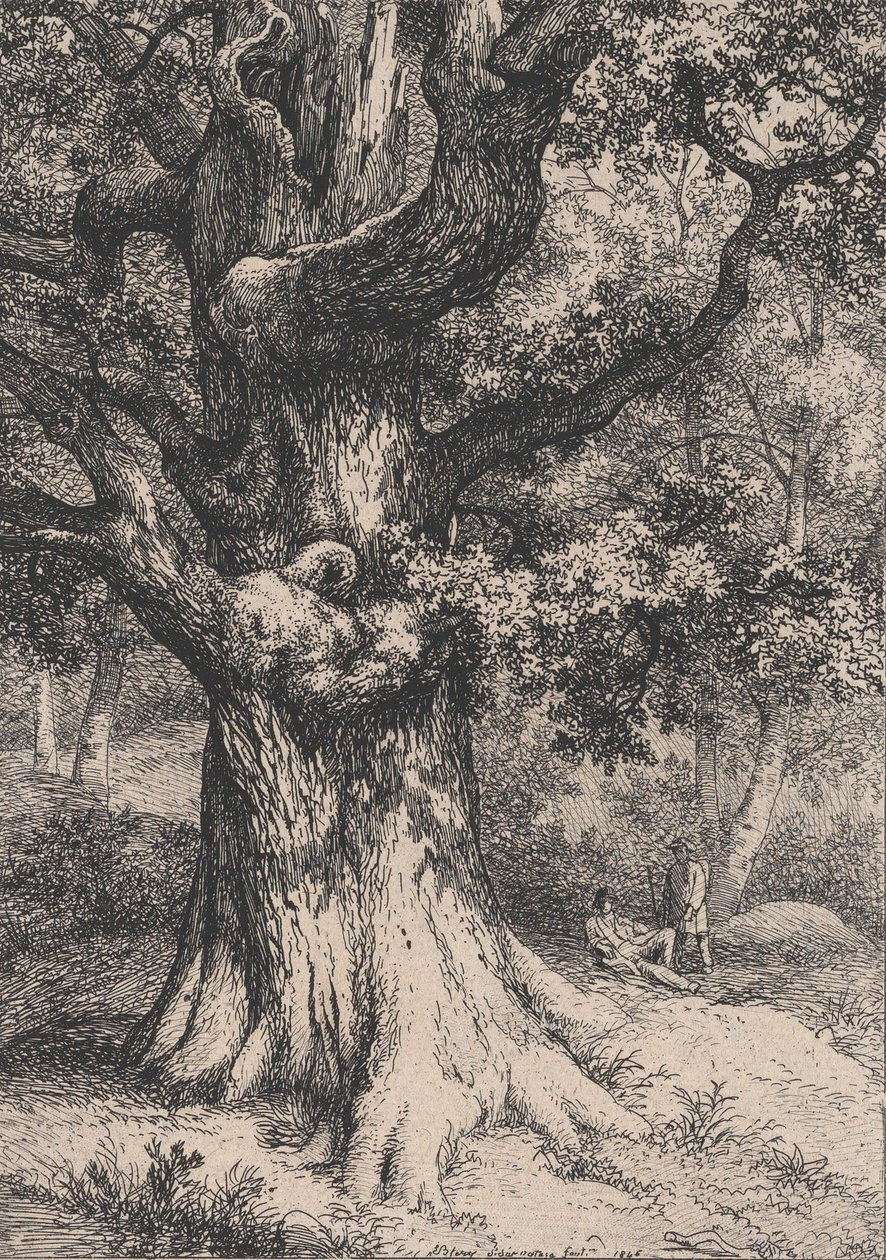 查理曼号，有鹰巢的橡树，1845年。 作者 尤金·布莱