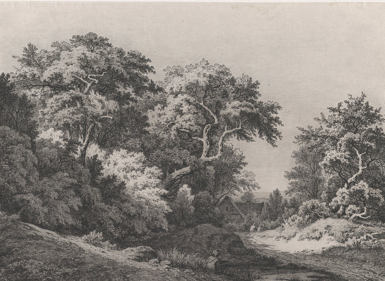 树林的边缘，朗布依埃附近，1860年。 作者 尤金·布莱
