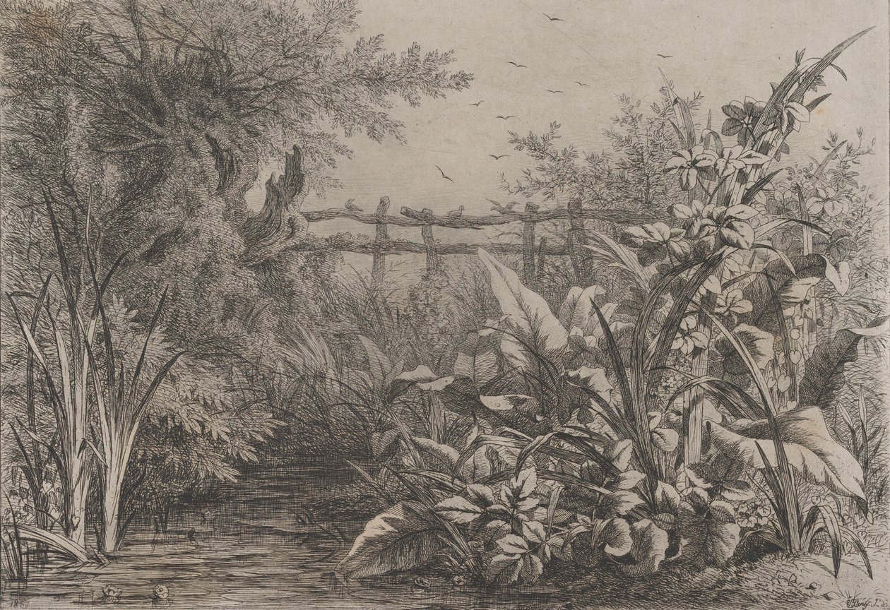 池塘》，1857年。 作者 尤金·布莱