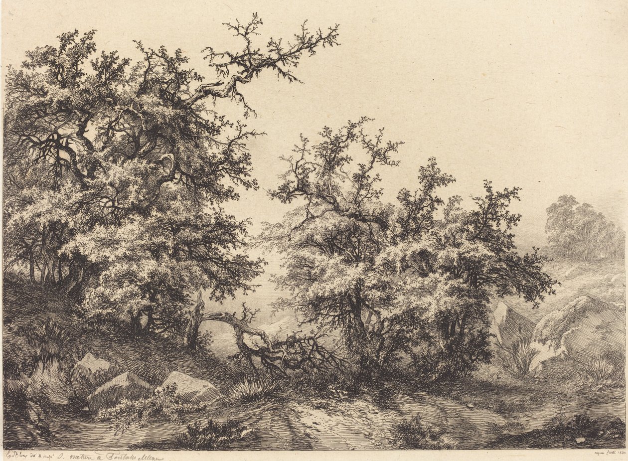 Thornbushes, 1840. 作者 尤金·布莱