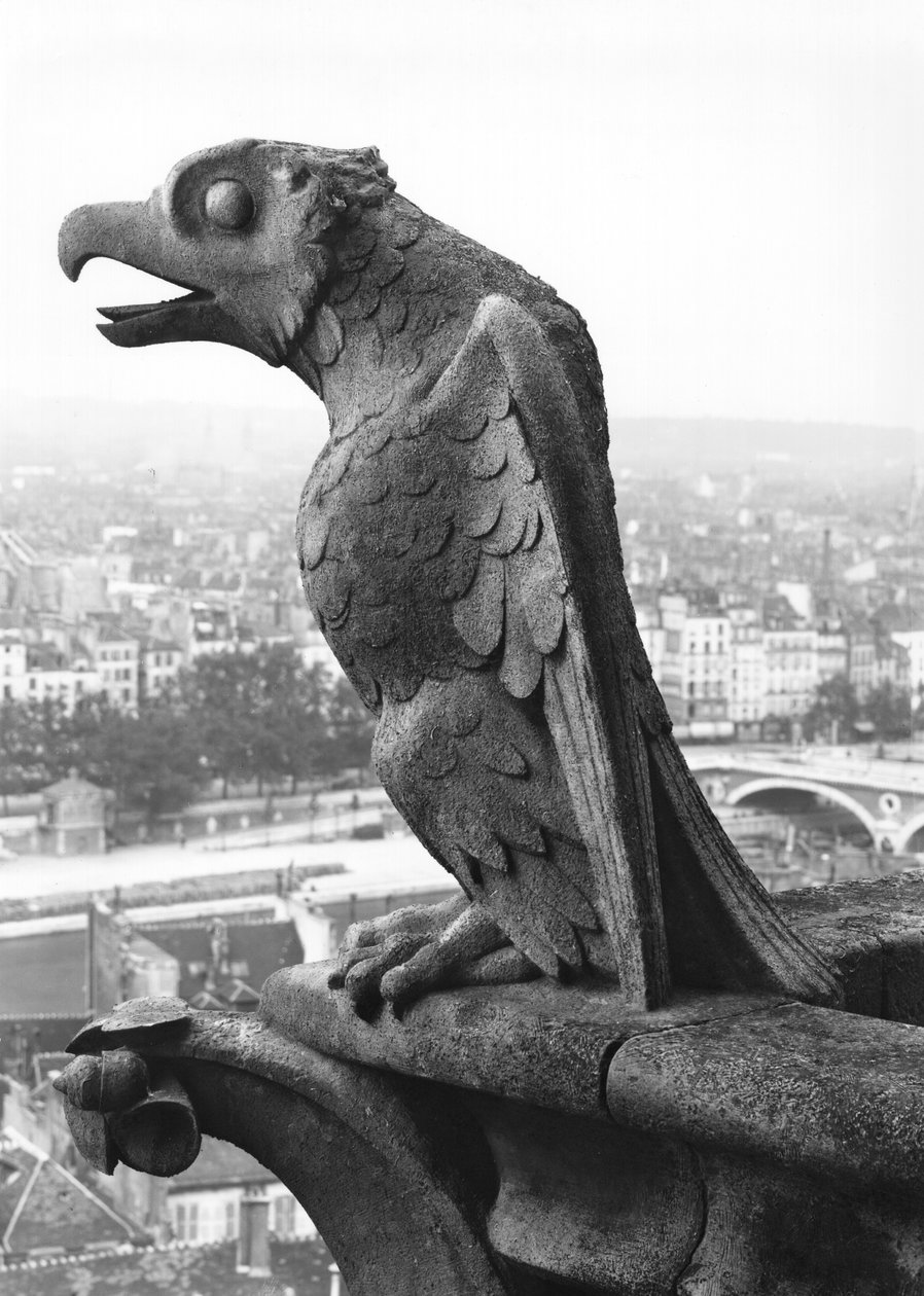 Gargoyle from the balustrade of the Grande Galerie of the west facade, replica of a 12th century original (stone) (b/w photo) 作者 Eugene Emmanuel Viollet le Duc