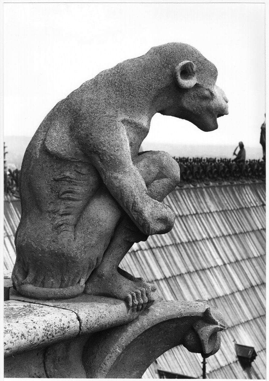 猴子妖怪，来自西面大画廊的栏杆，是12世纪原作的复制品（石头）（黑白照片）。 作者 Eugene Emmanuel Viollet le Duc
