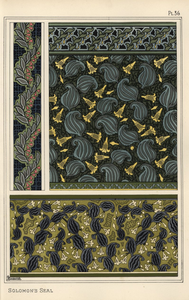 Solomon