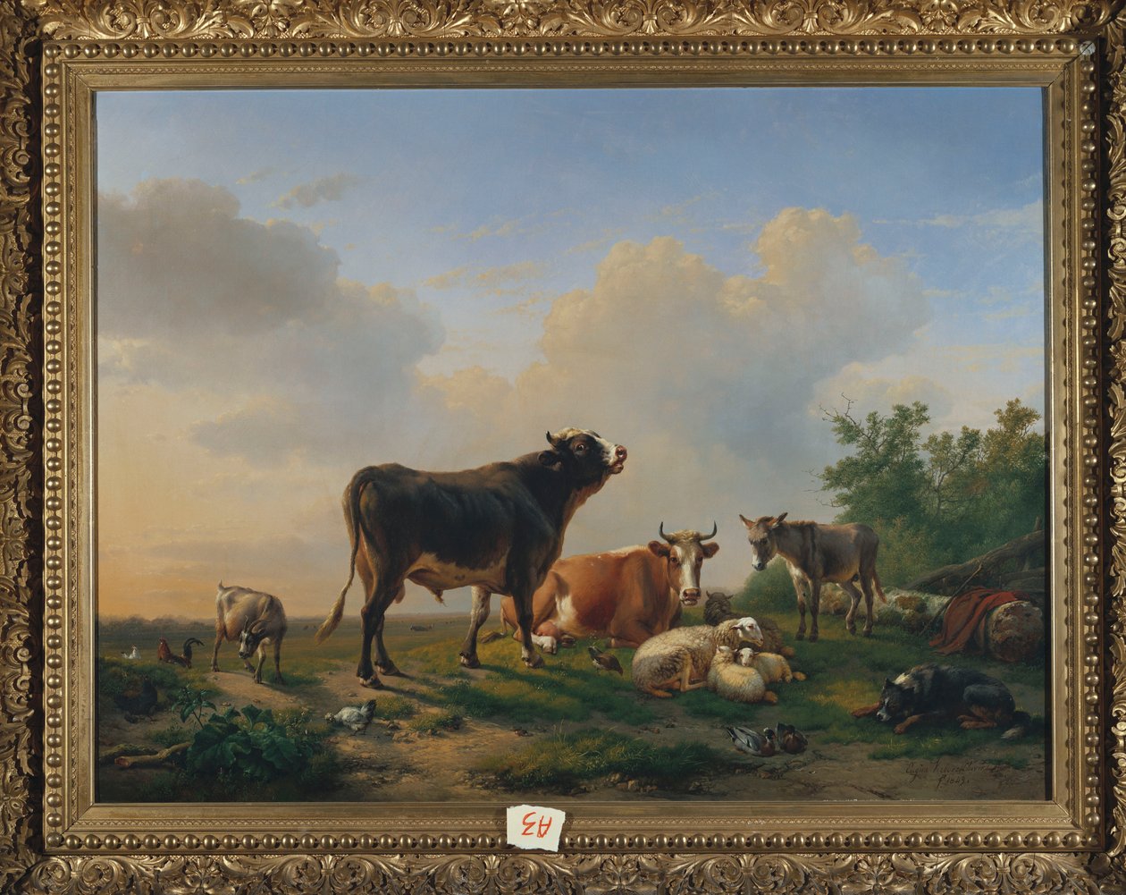 公牛，牛，驴，山羊，绵羊和家禽，风景广阔，1849年 作者 尤金·约瑟夫·韦伯霍芬