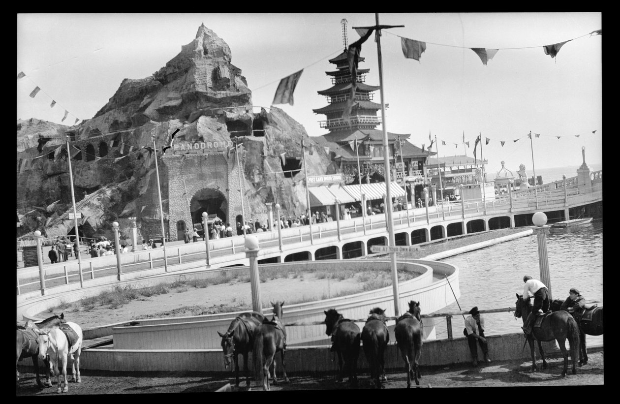 观察康尼岛，1909年（硝酸盐阴性） 作者 尤金·韦姆林格